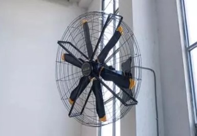 Deporte y Recreación