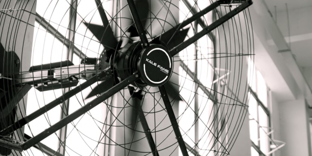 Background Fan