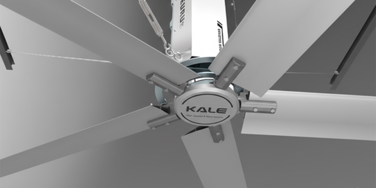 Background Fan