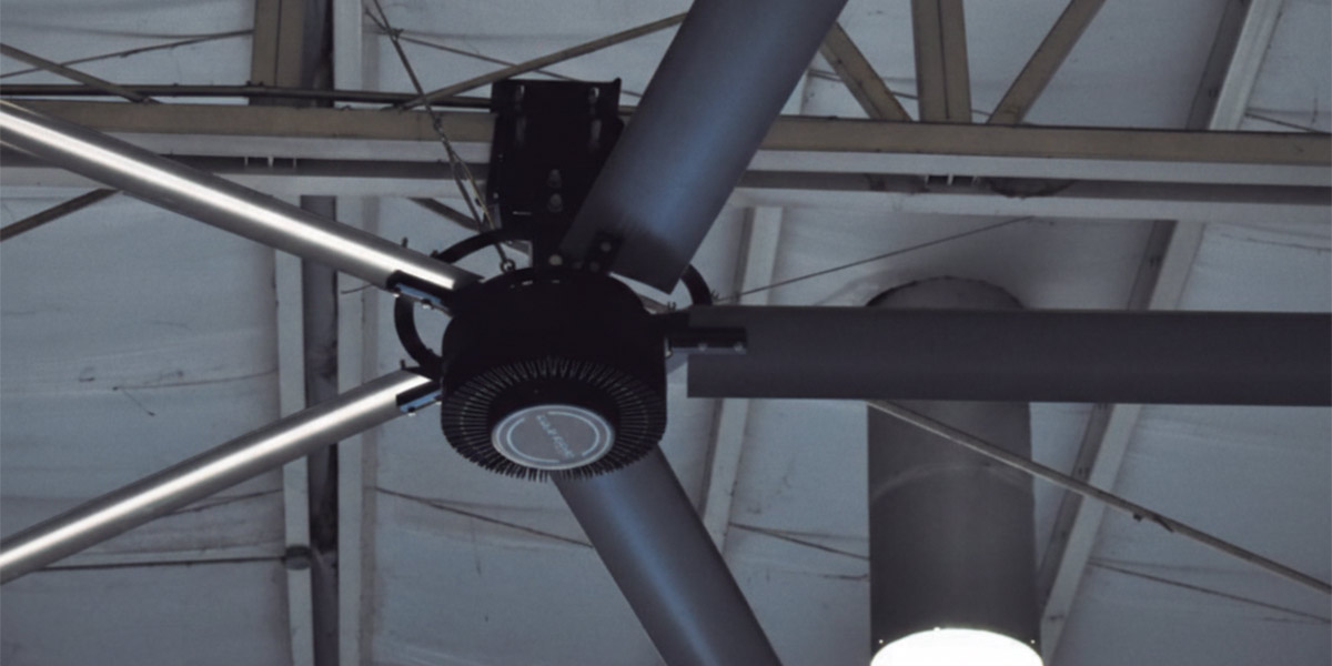 Background Fan