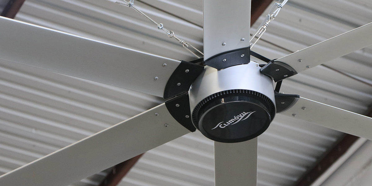 Background Fan